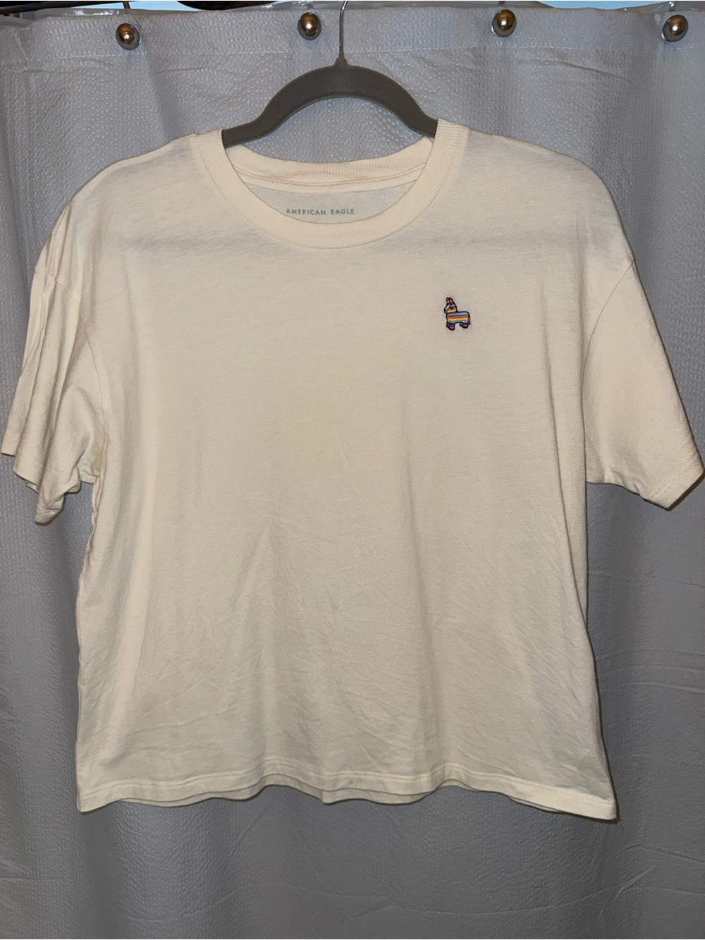 NWOT AE Embroidered Tee